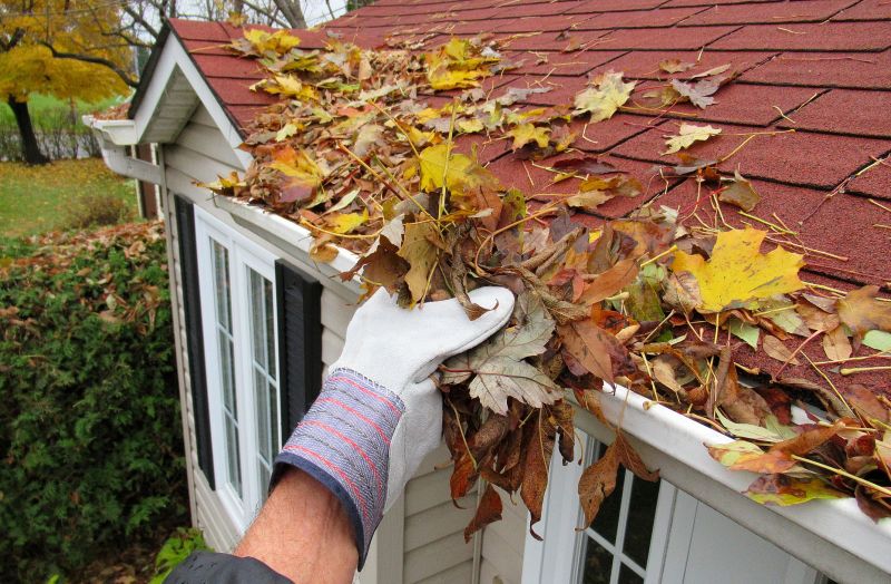 Roof Maintenance in Fall